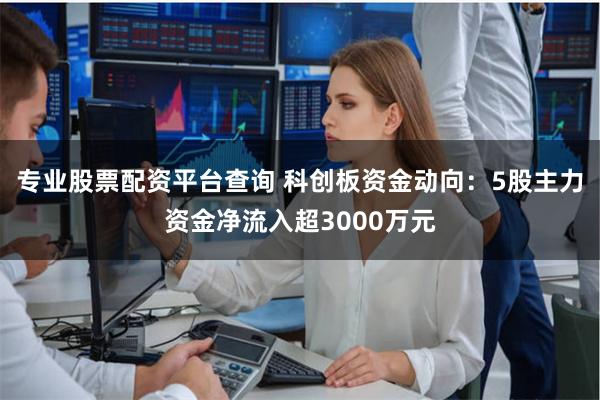 专业股票配资平台查询 科创板资金动向：5股主力资金净流入