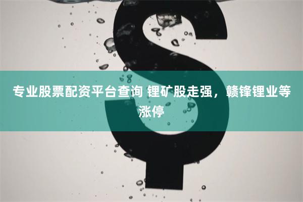 专业股票配资平台查询 锂矿股走强，赣锋锂业等涨停