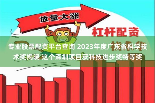 专业股票配资平台查询 2023年度广东省科学技术奖揭晓 这个深圳项目获科技进步奖特等奖