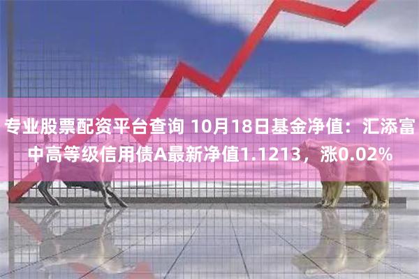 专业股票配资平台查询 10月18日基金净值：汇添富中高等级信用债A最新净值1.1213，涨0.02%