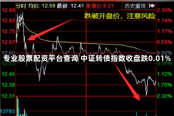 专业股票配资平台查询 中证转债指数收盘跌0.01%