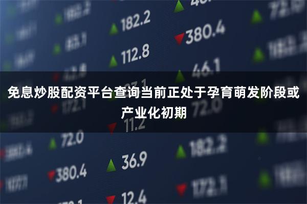 免息炒股配资平台查询当前正处于孕育萌发阶段或产业化初期