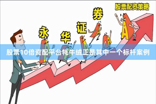 股票10倍资配平台牦牛绒正是其中一个标杆案例
